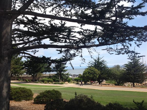 San Carlos Beach Park (7/20/2014 - Credits: By Clotee Pridgen Alloc…, CC BY-SA 3.0, https://commons.wikimedia.org/w/index.php?curid=58530968)