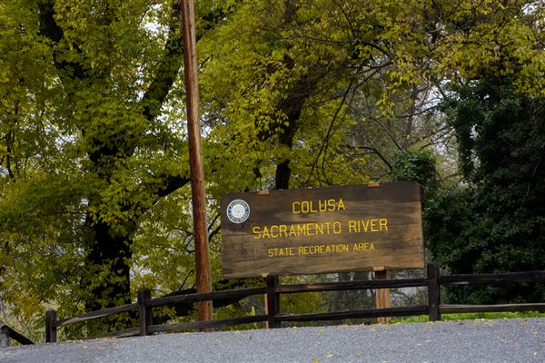 Colusa-Sacramento River State Recreation Area (SRA) (12/9/2016 - Credits: Brian Baer)