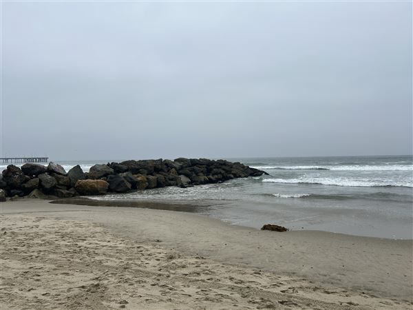Venice Beach, Boardwalk, Pier & Recreation Center (8/14/2025 - Credits: Brandy Davis)