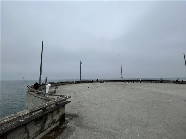 Venice Beach, Boardwalk, Pier & Recreation Center (8/14/2025 - Credits: Brandy Davis)