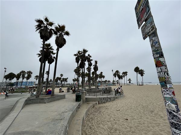 Venice Beach, Boardwalk, Pier & Recreation Center (8/14/2025 - Credits: Brandy Davis)