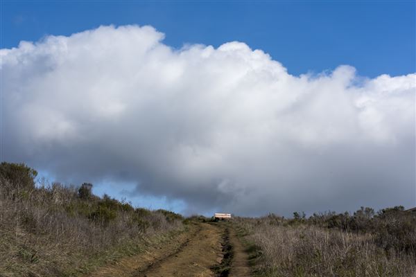 Harmony Headlands State Park (SP) (11/28/2016 - Credits: Brian Baer)
