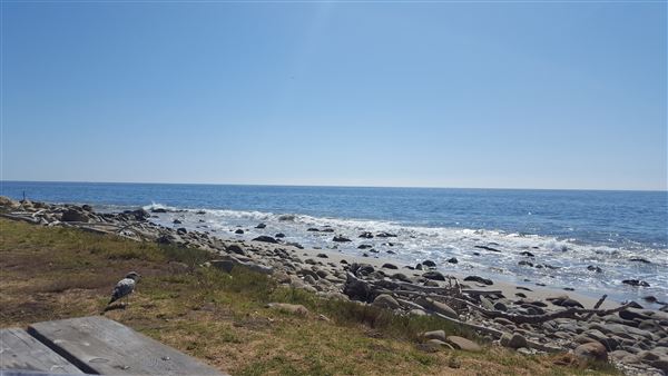El Capitan State Beach (SB) (8/26/2025 - Credits: Jennifer Jackson)