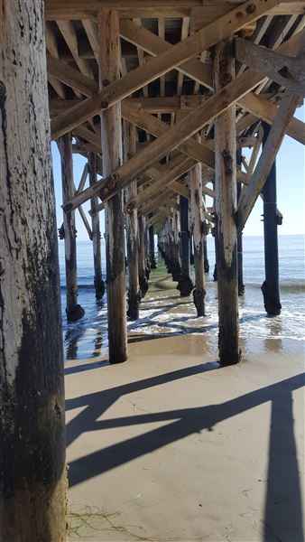 Gaviota State Park (SP) (8/26/2025 - Credits: Jennifer Jackson)