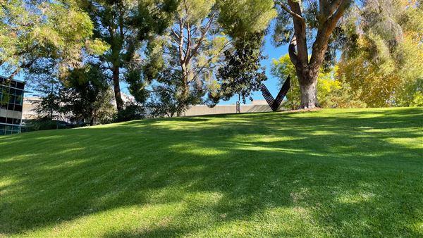 College of the Canyons - Honor Grove Quad (11/3/2021 - Credits: Leo Fialho)