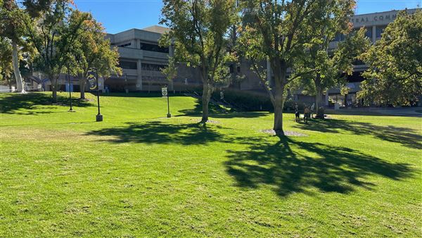 College of the Canyons - Honor Grove Quad (11/3/2021 - Credits: Leo Fialho)