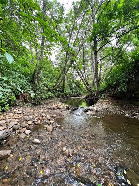 131 Tunitas Creek Rd. (1/1/2024 - Credits: Ashley Kleckner)
