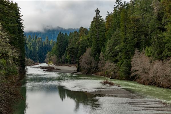 John B. Dewitt Redwoods State National Reserve (SNR) (2/13/2024 - Credits: Brian Baer)