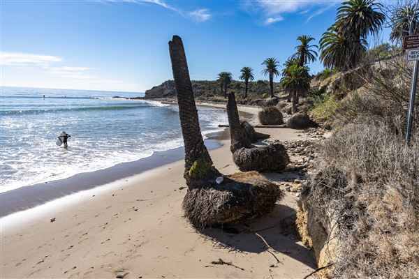 Refugio State Beach (SB) (1/6/2025 - Credits: Brian Baer)
