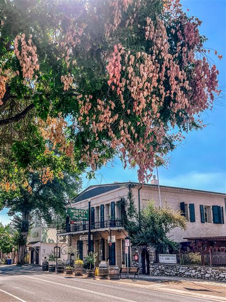 Murphys Main Street (10/21/2025 - Credits: Calaveras Visitors Bureau & Film Commission)