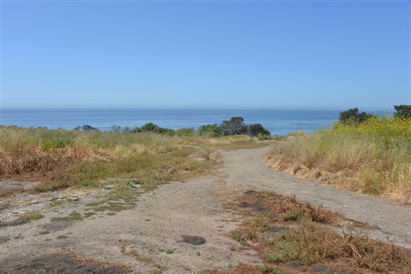 El Pescador State Beach @ Robert H. Meyer Memorial State Beach (SB) - CFC (4/17/2019 - Credits: Leo Fialho)