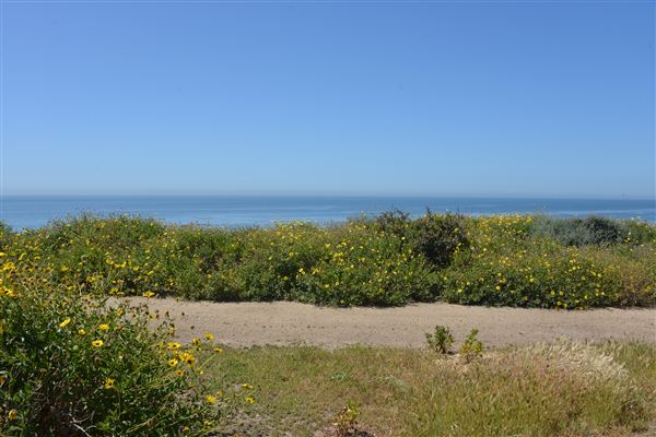 El Pescador State Beach @ Robert H. Meyer Memorial State Beach (SB) - CFC (4/17/2019 - Credits: Leo Fialho)