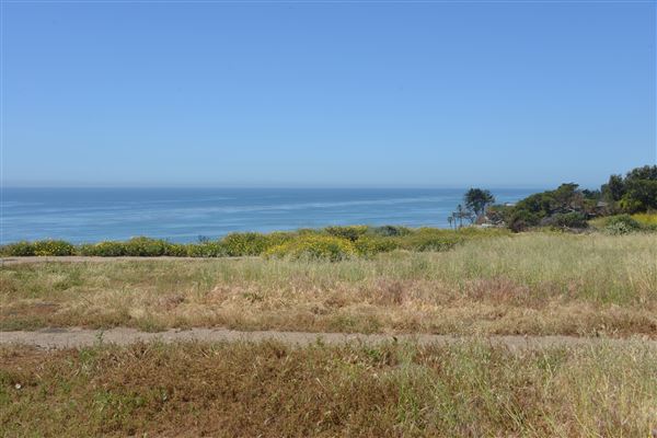 El Pescador State Beach @ Robert H. Meyer Memorial State Beach (SB) - CFC (4/17/2019 - Credits: Leo Fialho)