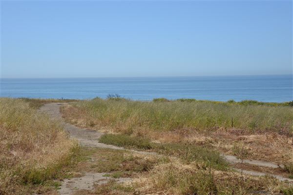 El Pescador State Beach @ Robert H. Meyer Memorial State Beach (SB) - CFC (4/17/2019 - Credits: Leo Fialho)