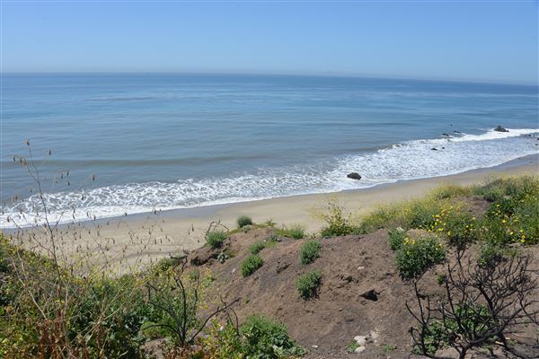 El Pescador State Beach @ Robert H. Meyer Memorial State Beach (SB) - CFC (4/17/2019 - Credits: Leo Fialho)