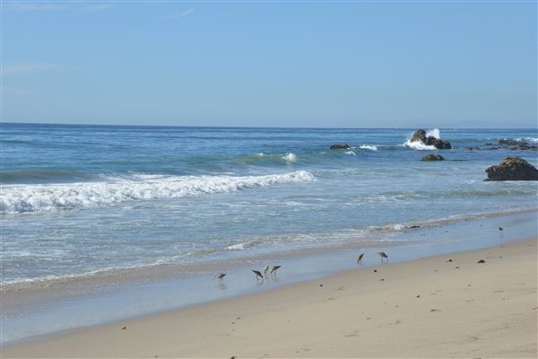 El Pescador State Beach @ Robert H. Meyer Memorial State Beach (SB) - CFC (11/14/2017 - Credits: Leo Fialho)