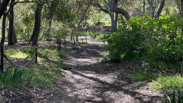 Descanso Gardens - California Garden (3/7/2022 - Credits: Leo Fialho)