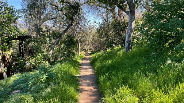 Descanso Gardens - Canyon View (3/7/2022 - Credits: Leo Fialho)