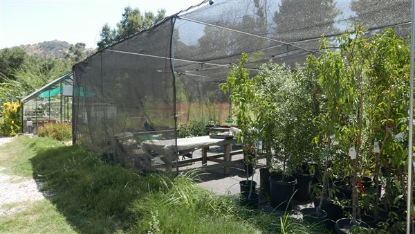Descanso Gardens - Plant Propagation Greenhouse (7/26/2017 - Credits: Leo Fialho)