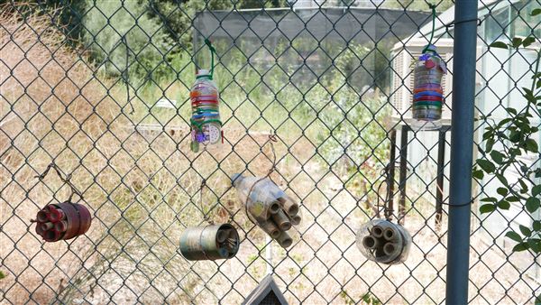 Descanso Gardens - Plant Propagation Greenhouse (7/26/2017 - Credits: Leo Fialho)