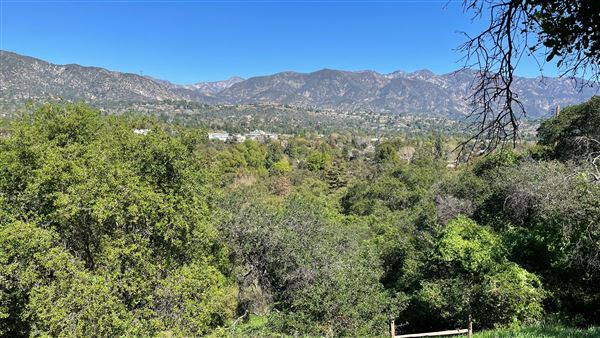 Descanso Gardens - Hopes Garden (3/7/2022 - Credits: Leo Fialho)