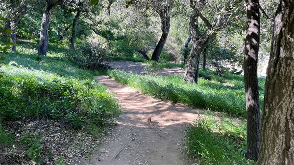 Descanso Gardens - Hopes Garden (3/7/2022 - Credits: Leo Fialho)