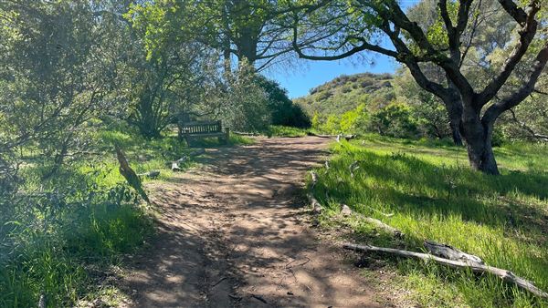 Descanso Gardens - Oak Woodland (3/7/2022 - Credits: Leo Fialho)