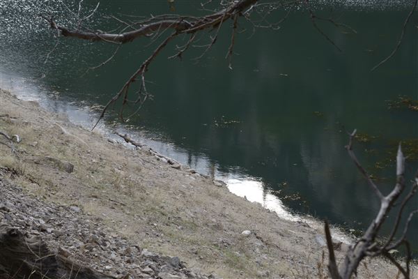 Crystal Lake Recreation Area / Campground - Angeles National Forest (1/30/2015 - Credits: Leo Fialho)