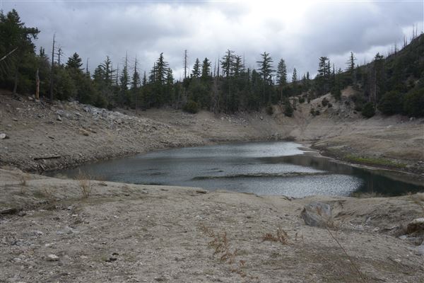 Crystal Lake Recreation Area / Campground - Angeles National Forest (1/30/2015 - Credits: Leo Fialho)