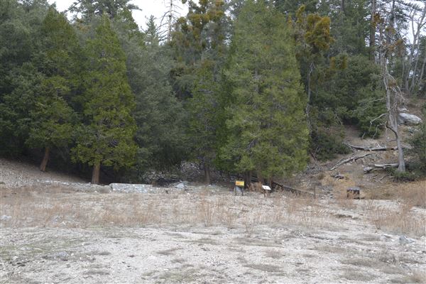 Crystal Lake Recreation Area / Campground - Angeles National Forest (1/30/2015 - Credits: Leo Fialho)