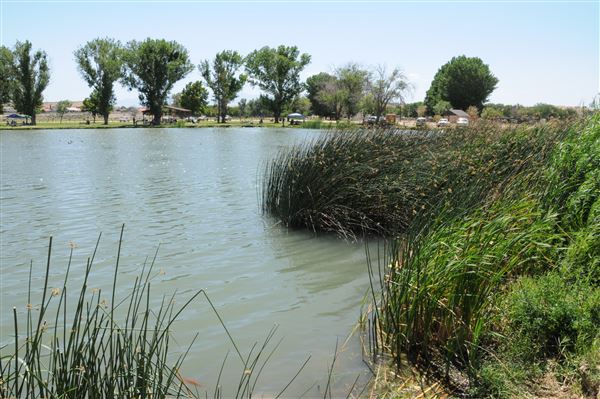 Mojave Narrows Regional Park - Pelican Lake (7/6/2012 - Credits: Leo Fialho)