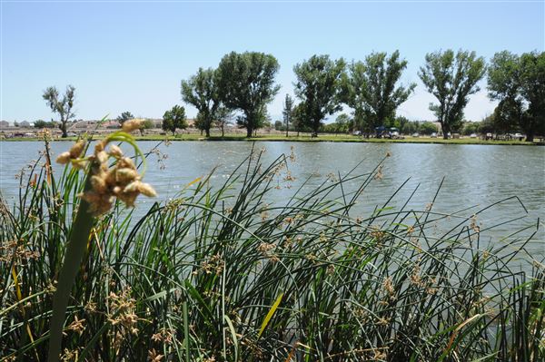 Mojave Narrows Regional Park - Pelican Lake (7/6/2012 - Credits: Leo Fialho)