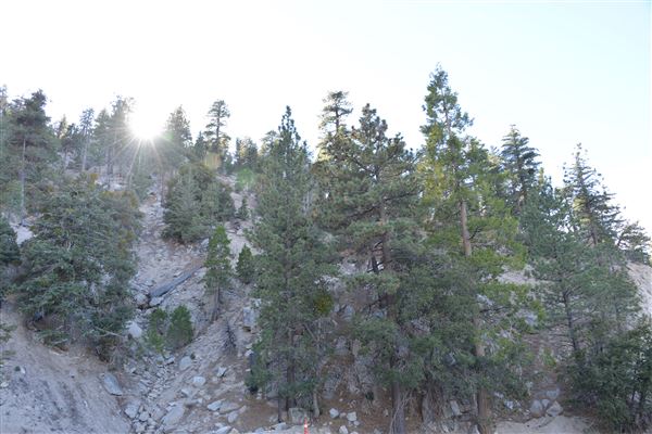 Angeles Crest Highway - SR2 - MM 54.83 (11/16/2016 - Credits: Leo Fialho)