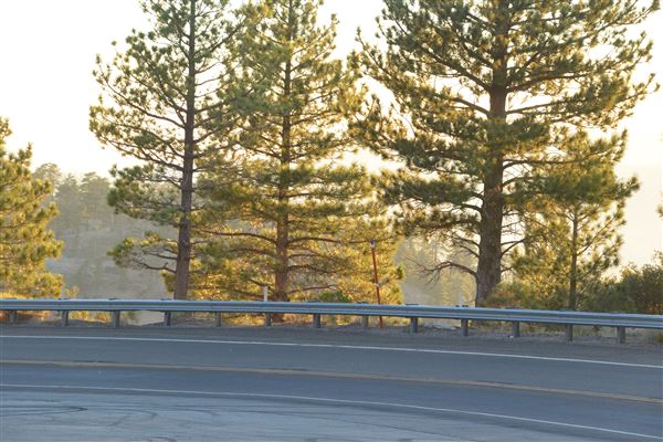 Angeles Crest Highway - SR2 - MM 56.0 - 57.0 (Outside TMZ) (7/28/2017 - Credits: Leo Fialho)