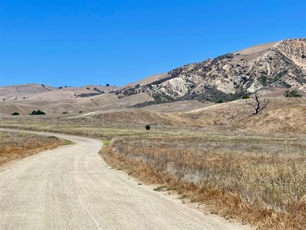Big Sky Movie Ranch - Roads & Vistas & Forest (11/17/2025 - Credits: Owner)