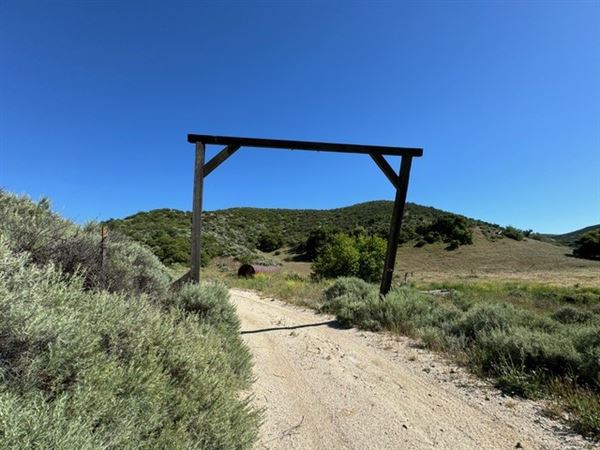 Big Sky Movie Ranch - Roads & Vistas & Forest (11/17/2025 - Credits: Owner)
