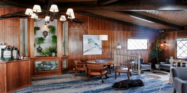 Bluebird Inn - Lobby (12/2/2025 - Credits: Bluebird Inn)