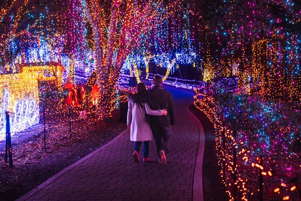 Cambria Pines Lodge & Cambria Christmas Market (12/4/2024 - Credits: Cambria Christmas Market)