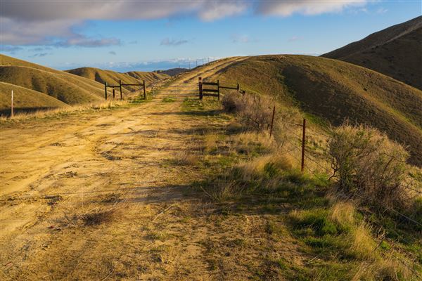 Panoche Hills - BLM (12/8/2025 - Credits: Jesse Pluim - Bureau of Land Management)