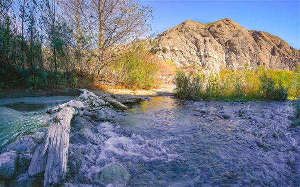 Whitewater Preserve (12/8/2025 - Credits: Jesse Pluim - Bureau of Land Management)