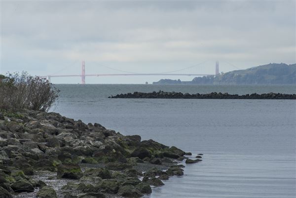 Albany State Marine Reserve - State Lands Commission (SLC) (2/2/2016 - Credits: Brian Baer)