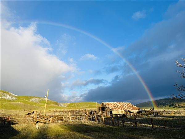 Carrizo Plain National Monument (12/11/2025 - Credits: Russ Namitz - Bureau of Land Management)