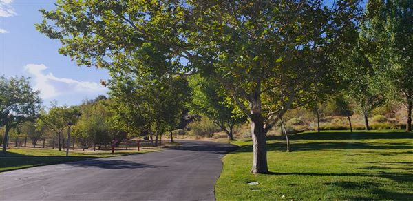 The Painted Turtle Camp - Paved Roads (7/17/2025 - Credits: David Halver)