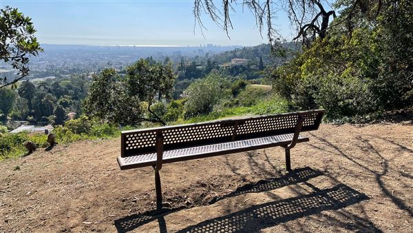 Griffith Park Redwoods - Cedar Grove - Cedar Grove Trail (3/16/2022 - Credits: Leo Fialho)