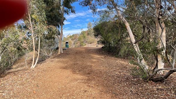 Griffith Park Redwoods - Cedar Grove - Cedar Grove (12/10/2021 - Credits: Leo Fialho)