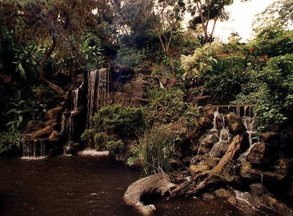 Los Angeles County Arboretum (12/31/2003)