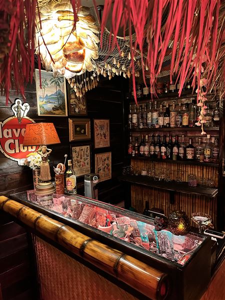 Birds of Paradise Lounge (5/1/2025 - Credits: Correy Bravo)