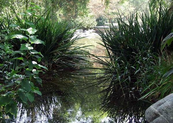Los Angeles County Arboretum (12/31/2003)