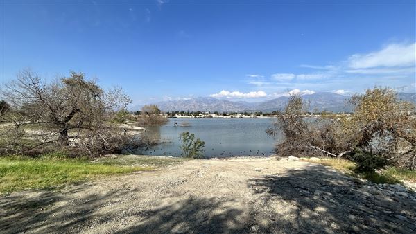 Peck Road Water Conservation Park (2/9/2026 - Credits: Brandy Davis)