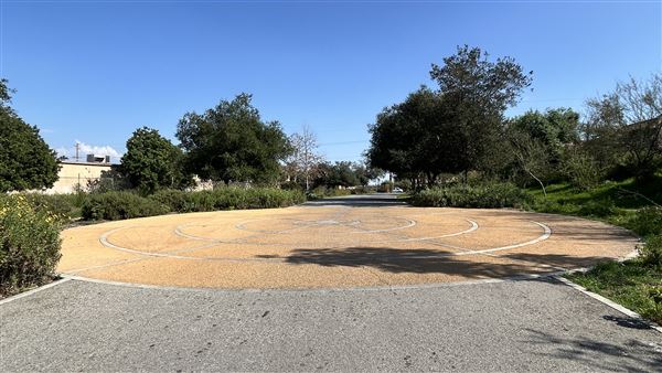 Peck Road Water Conservation Park (2/9/2026 - Credits: Brandy Davis)